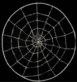 Spinnenweb Met Nep Spin Voor Halloween