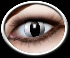 Zwarte Kater Contactlenzen Voor Halloween