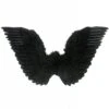 Zwarte Vleugels Voor Zwarte Engelen Voor Halloween