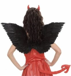 Zwarte Vleugels Voor Zwarte Engelen Voor Halloween -HalloweenkledingVerkoop zwarte vleugels voor zwarte engelen voor halloween 2