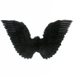 Zwarte Vleugels Voor Zwarte Engelen Voor Halloween